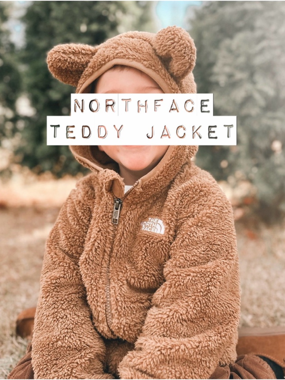 The North Face Plush Teddy Hooded Jacket in Warm Brown